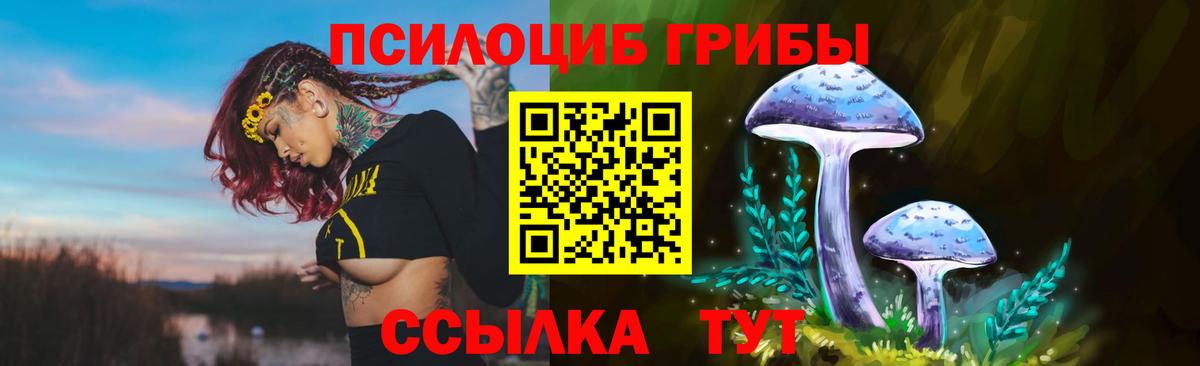 Псилоцибиновые грибы Psilocybe Семёнов